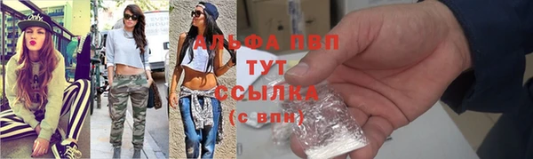 ПСИЛОЦИБИНОВЫЕ ГРИБЫ Верхний Тагил