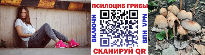 Галлюциногенные грибы Cubensis наркошоп кракен маркетплейс Вольск